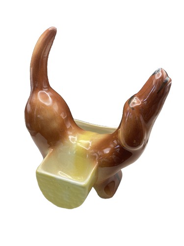 Wiener dog dachshund - dog,